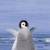 リューク